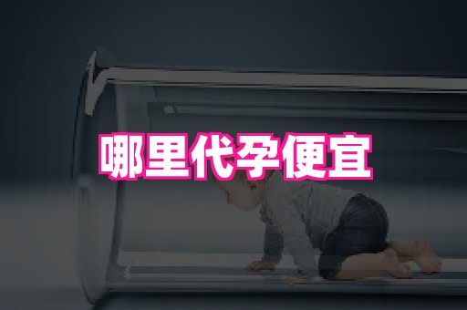 821孕网 1