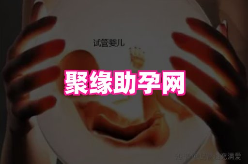 821孕网 2